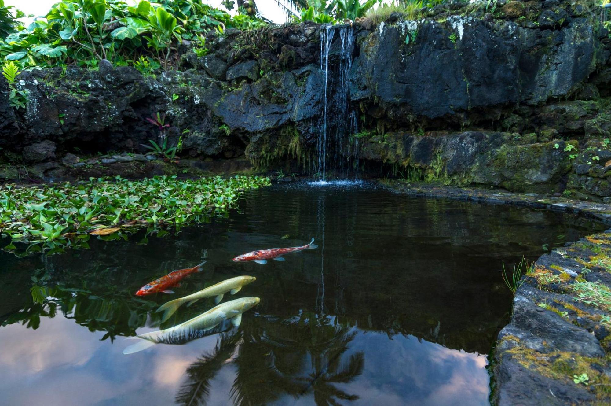 Hana Kai Maui - #104 Haneoʻo Exterior foto